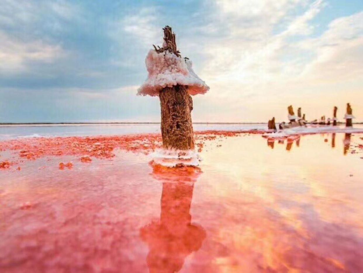 克里米亚的锡瓦什湖