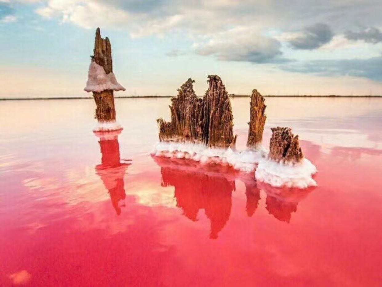 克里米亚的锡瓦什湖