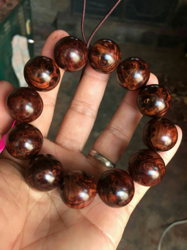 紫油梨2.0瘤疤鬼眼