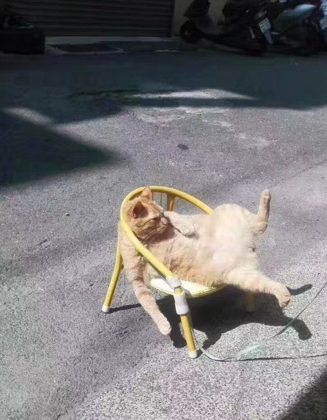 三体里的歌者大概是什么形状的东西