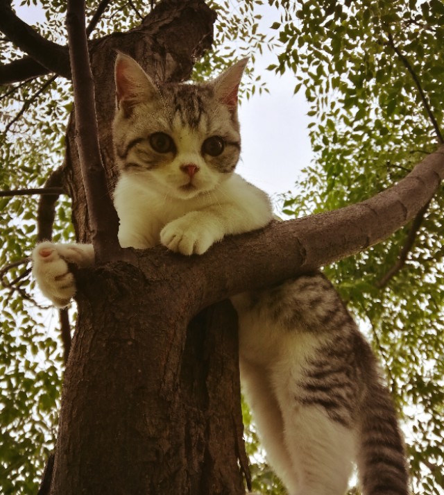 kk酱表示躲得他远远的