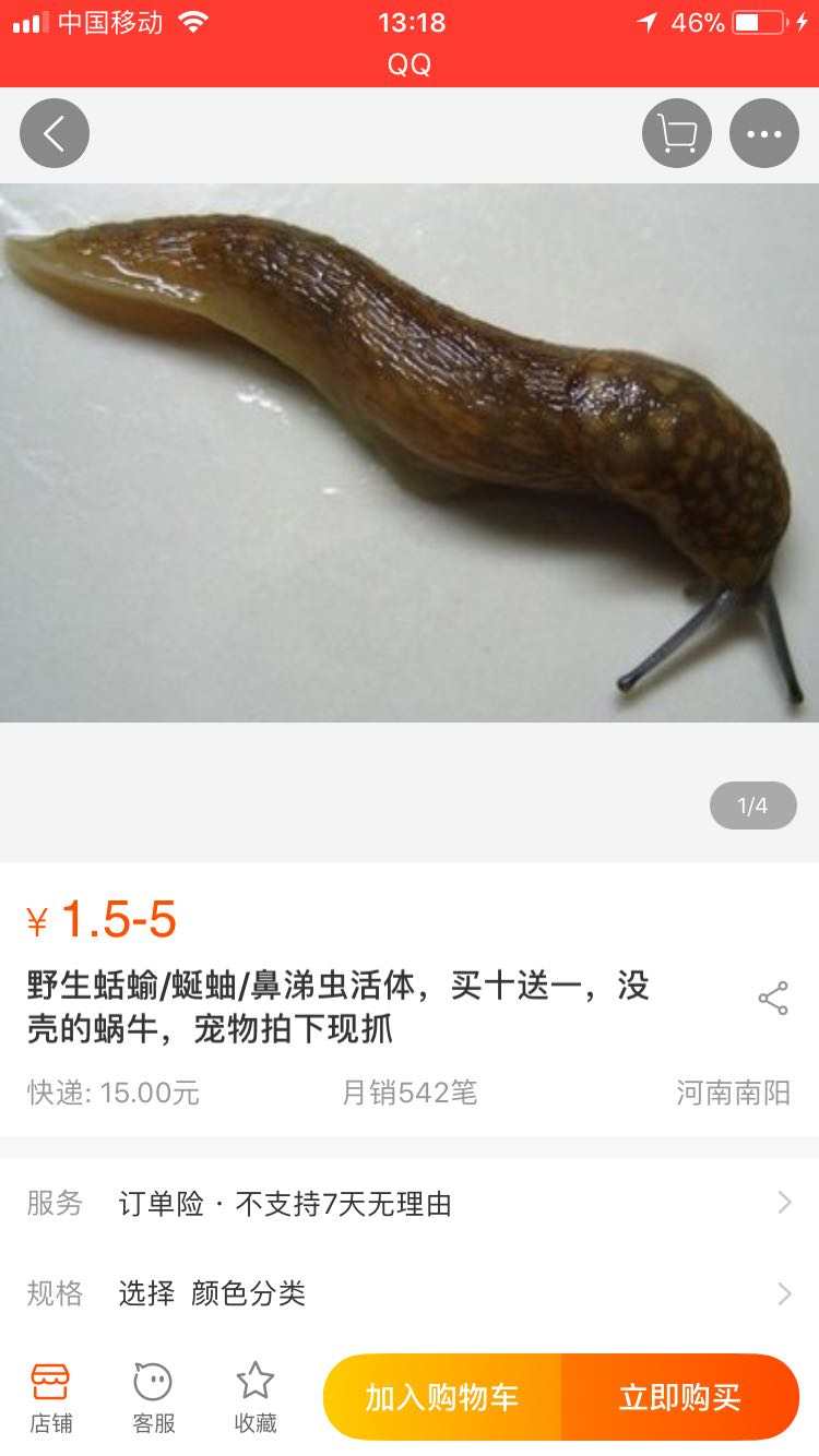 这种虫子似乎现在不多见了 ...-宽带山kds-宽带山社区-城市消费门户