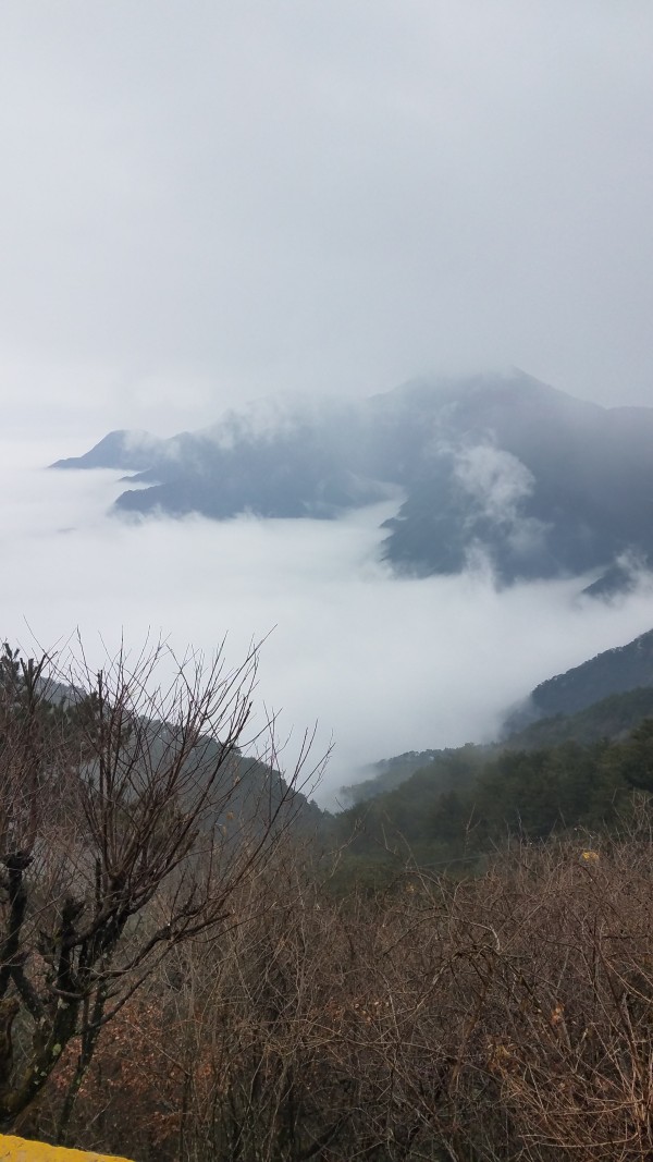 黄山和庐山哪个好玩