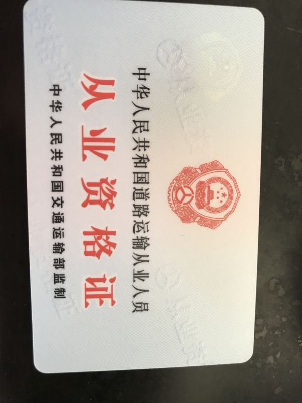 换新车了,小马宝莉