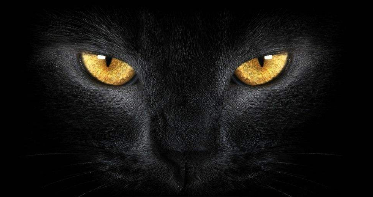 《《《------鬼瞳-------》》》生犀不敢烧,燃之有异香,沾衣带,人能与