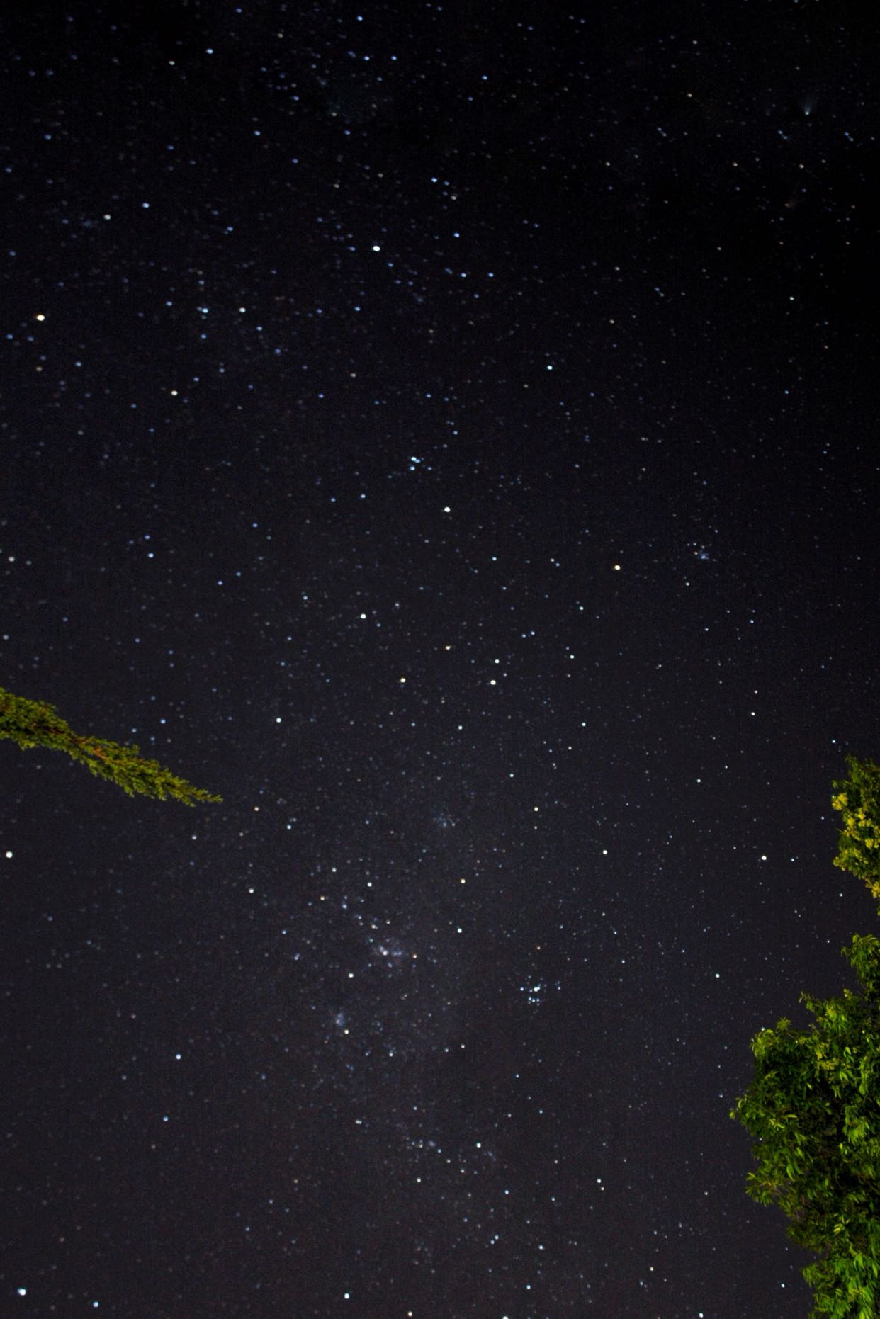 夜空中的星星真实照片图片