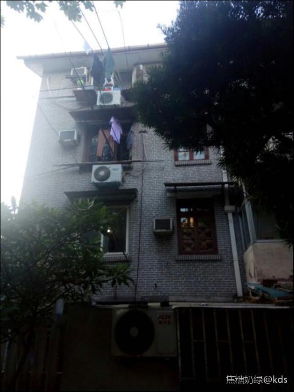 曹杨一村还有动迁的可能吗?