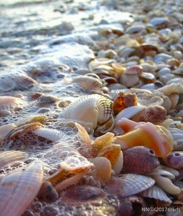 40万美元在美国佛罗里达州可以买到什么样的