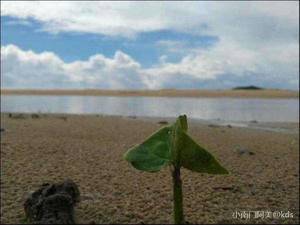 请不要删疫苗帖,如果管理员有良知的话
