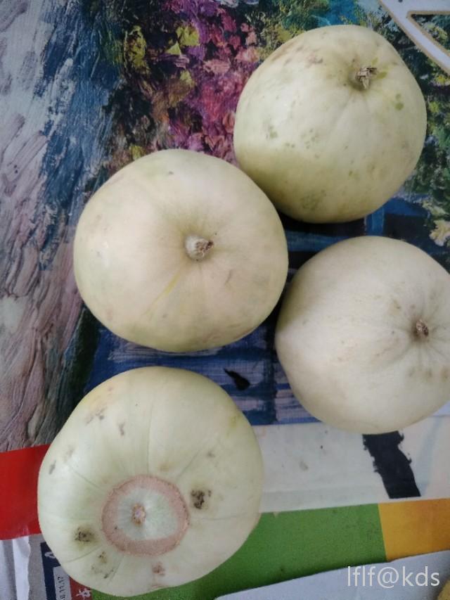 好像叫不出名的都称本地邦瓜