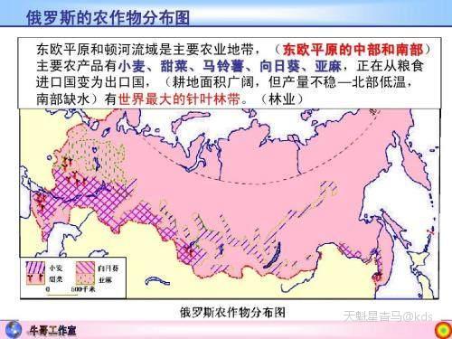 苏联不够吃而俄罗斯却成粮食出口大国?----看毛子的农业的振兴