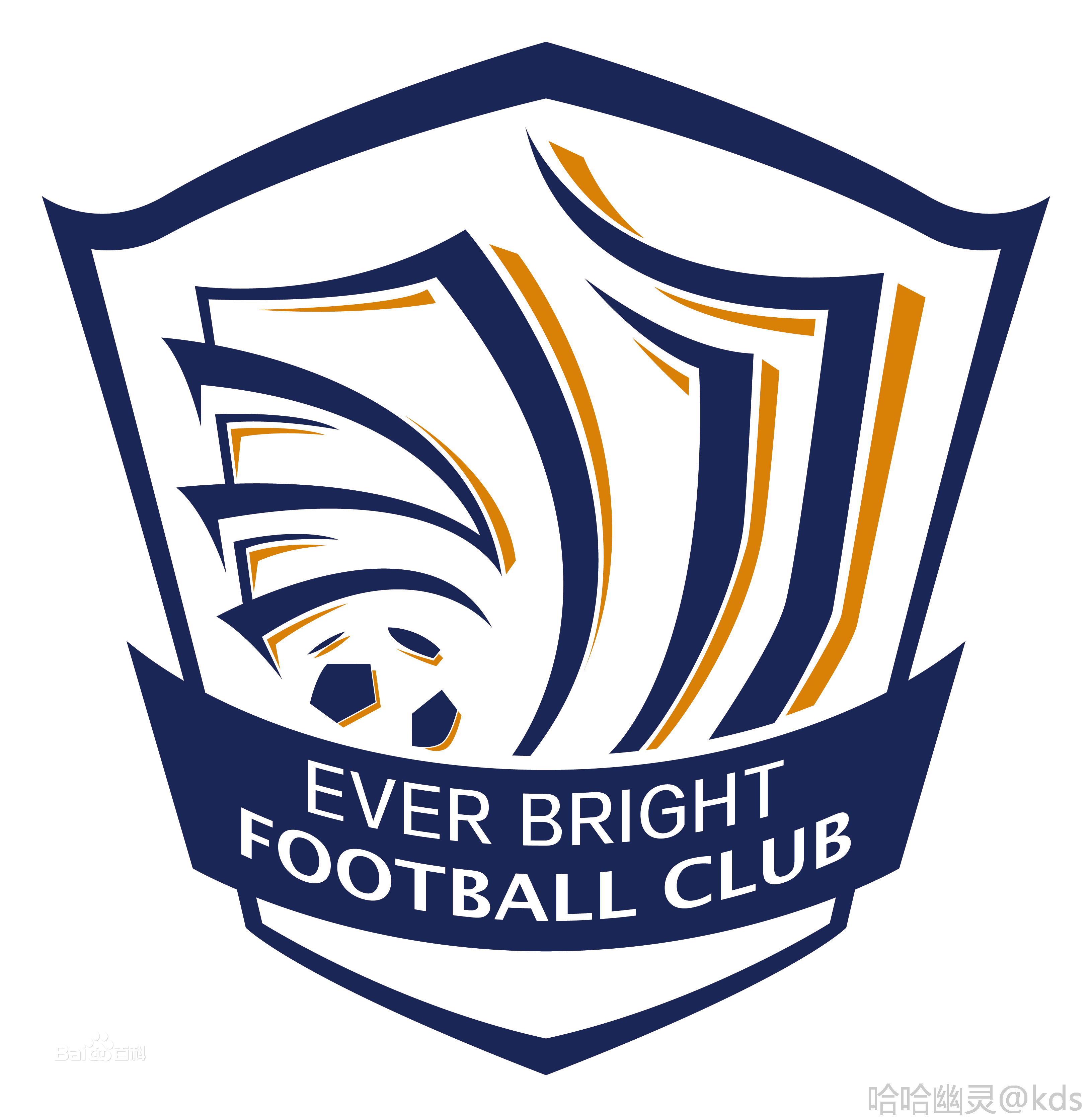 【中国足球职业俱乐部名称发展历史】