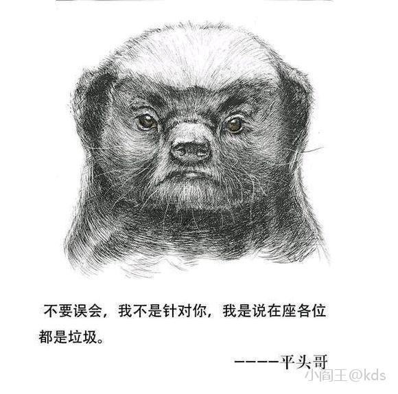 非洲二哥的崛起