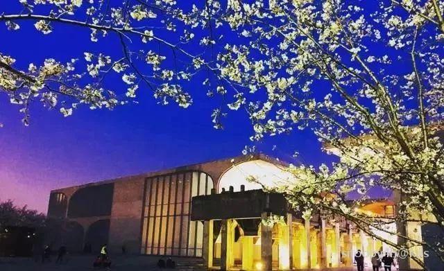 龙美术馆·西岸馆 地址:龙腾大道3398号