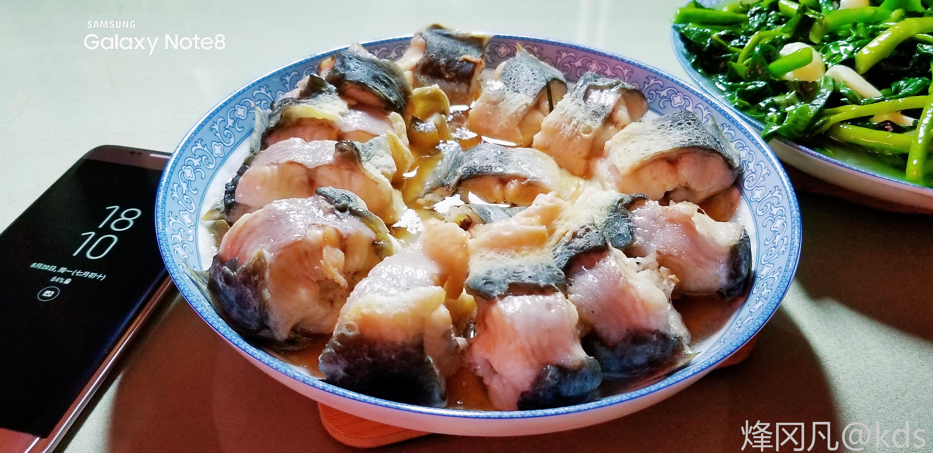 一条清蒸鳗鱼 一盆紫角叶