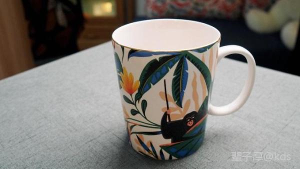 晒一下网易严选的亚马逊雨林物语水杯,感受这