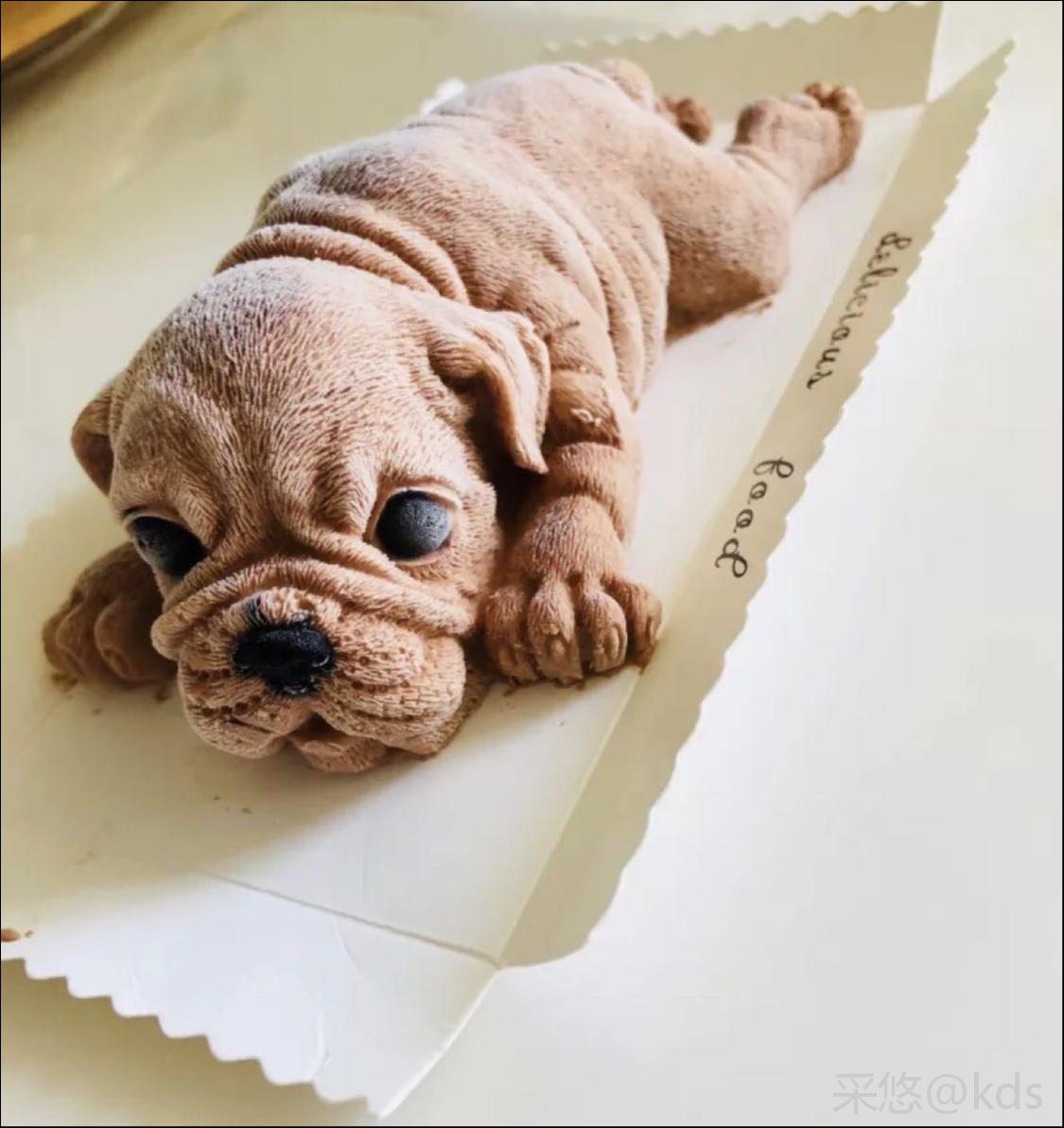 哪里有卖网红沙皮狗?