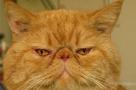 留学英国本科考试挂科未毕业回国坐镇事业单位