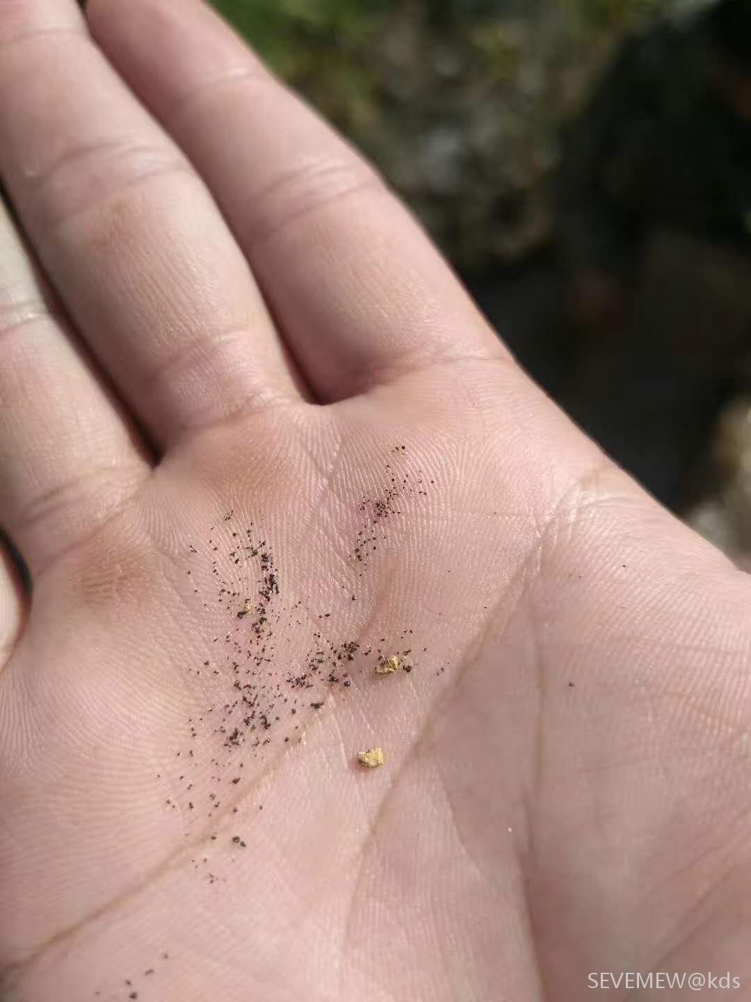 这一小木斗能装多少土?当时就数出了17个金粒.