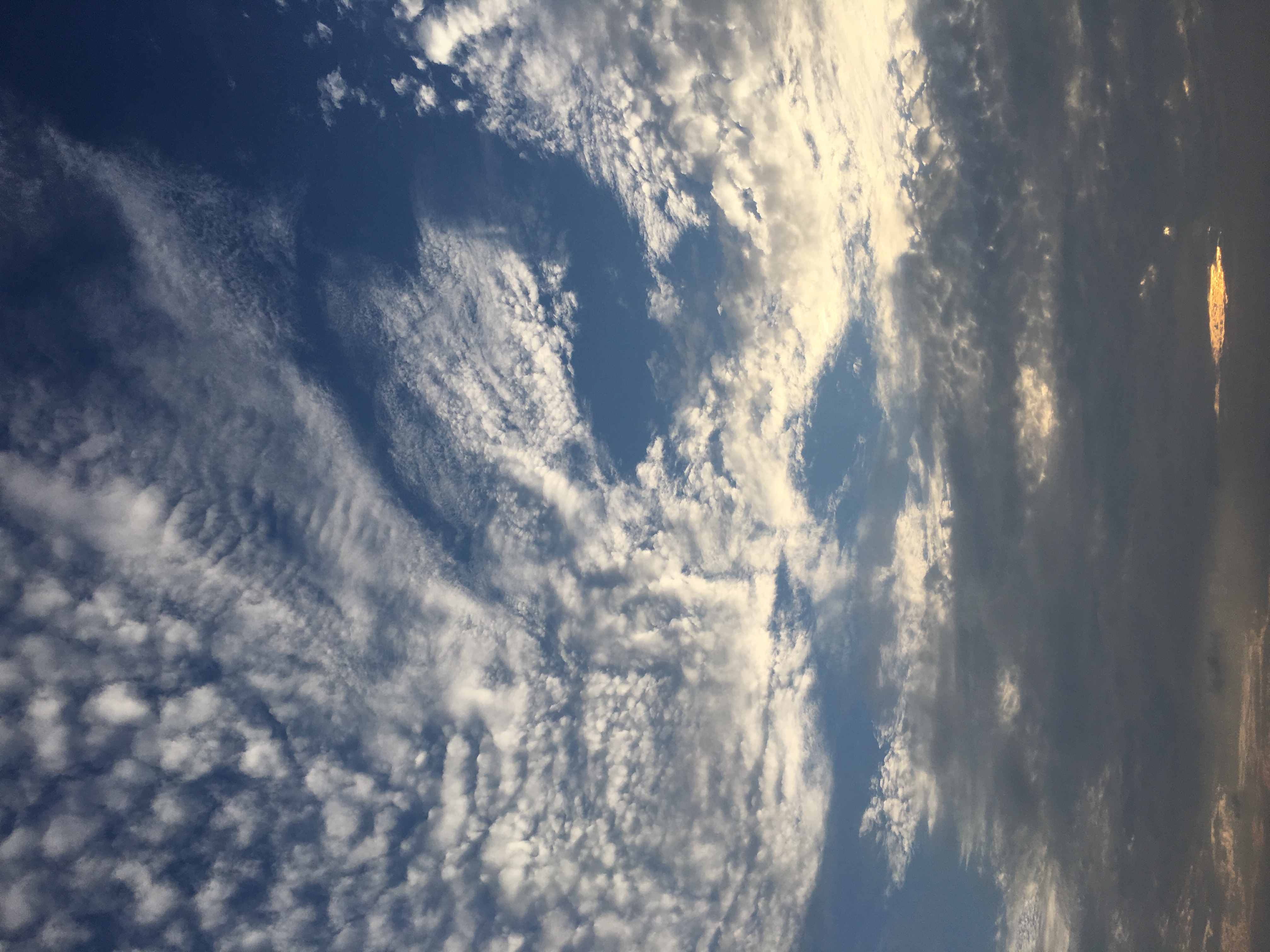 魔都今早出现美丽的卷积云,你有没有拍到?