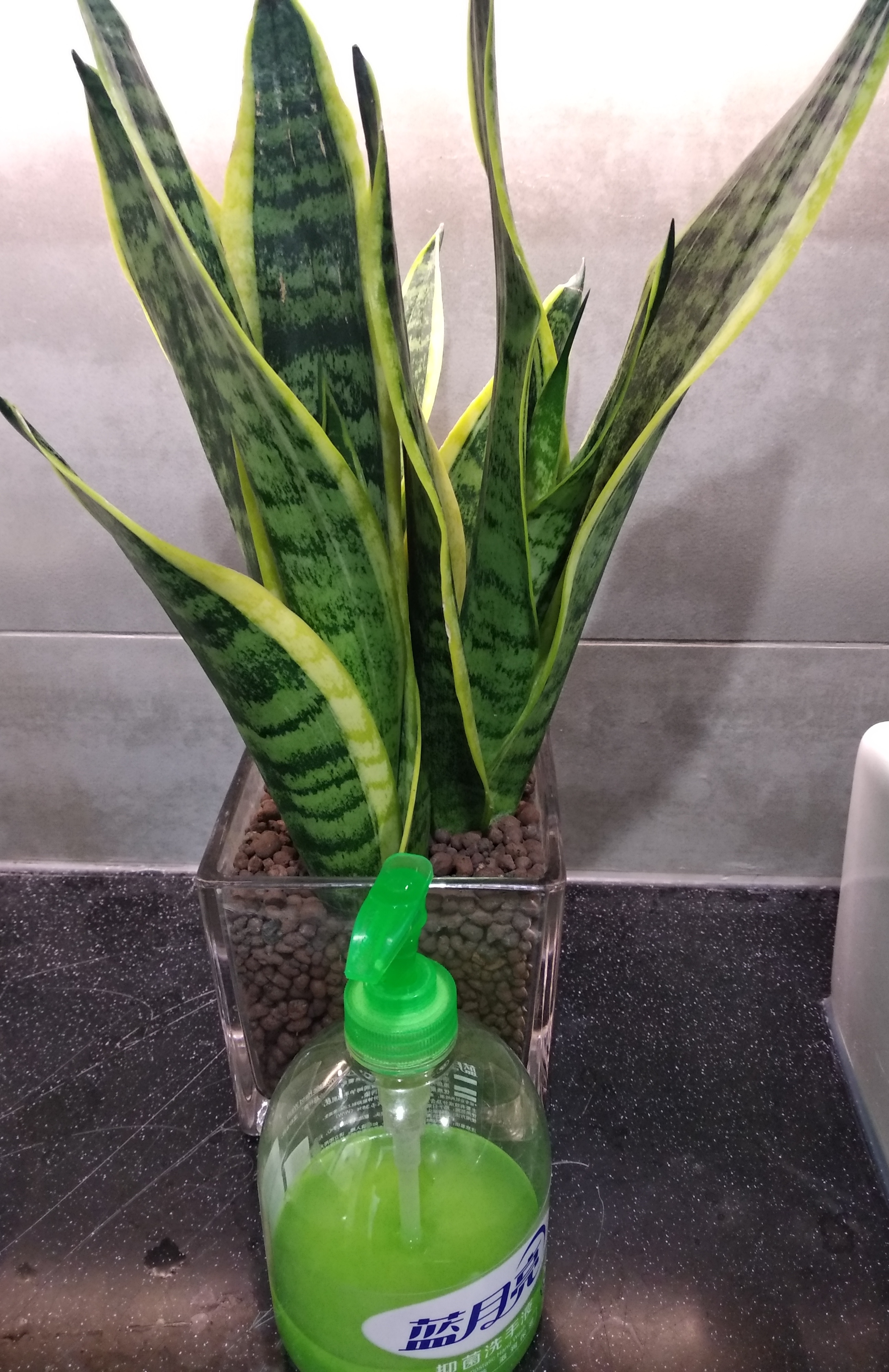 一家公司风气到底好不好,主要看神马?