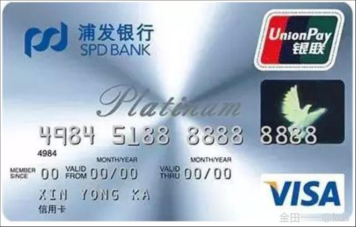 现在好多信用标识是visa的,能不能在国内使用啊