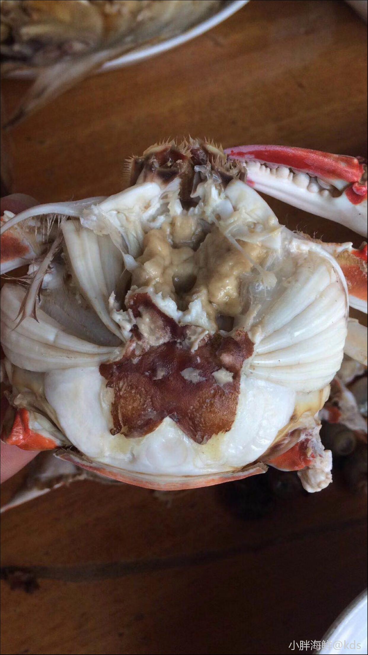 当季最肥,舟山二母蟹,也叫小娘蟹
