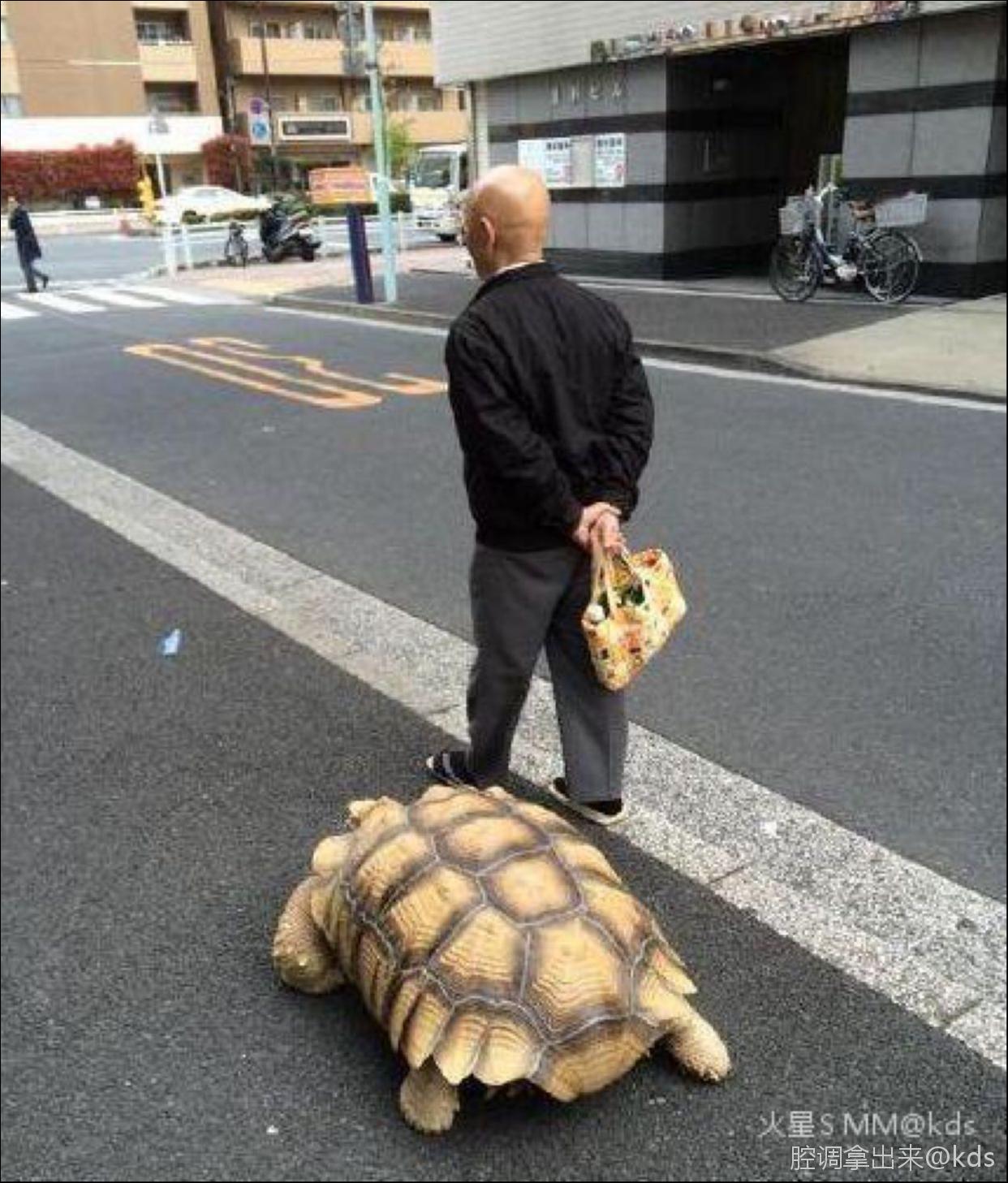 tfs来刚刚看,大家遇到过脚最臭的xs伐?