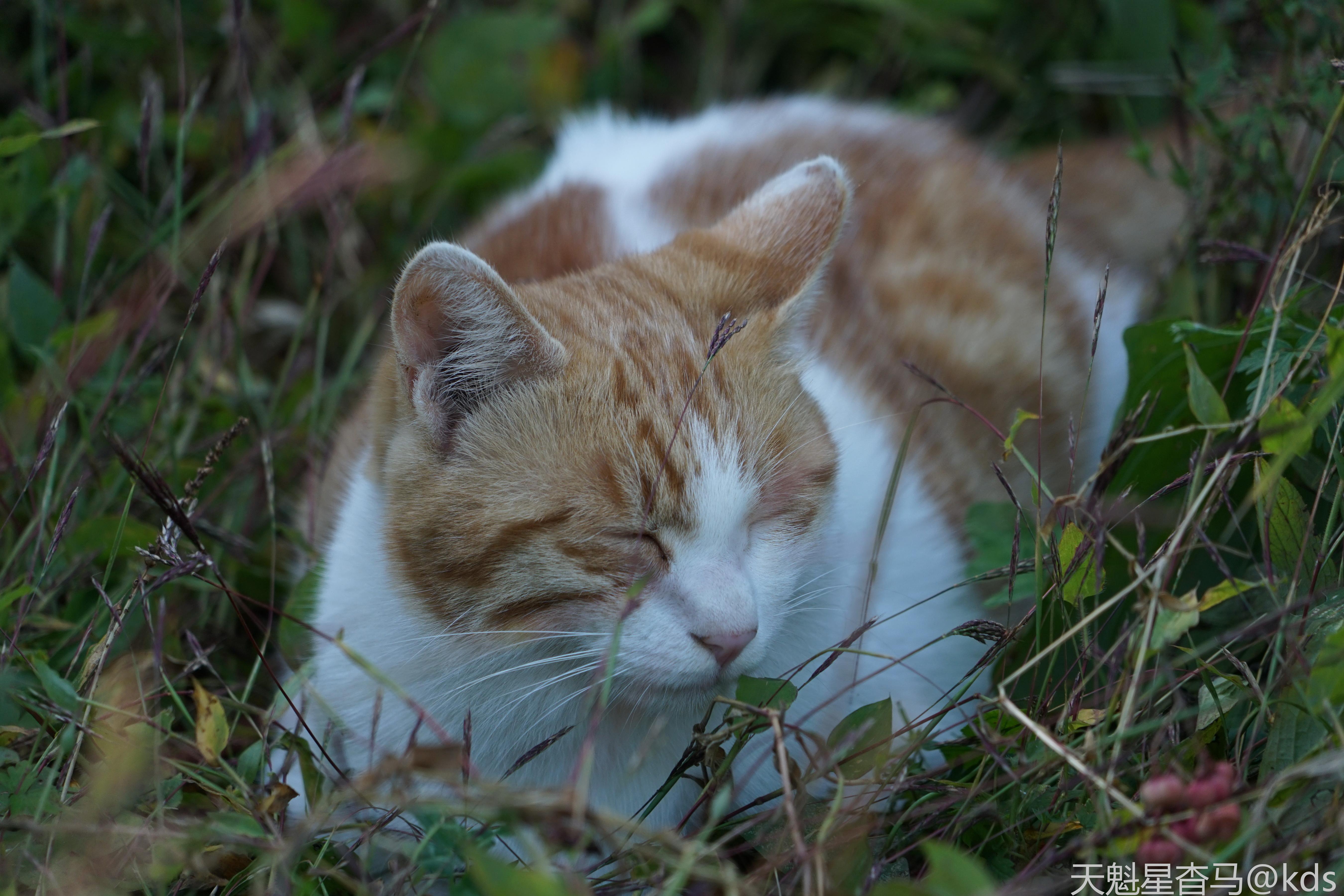 悠闲自得慢慢走,观景品史赏大妞～天魁星东北休闲游