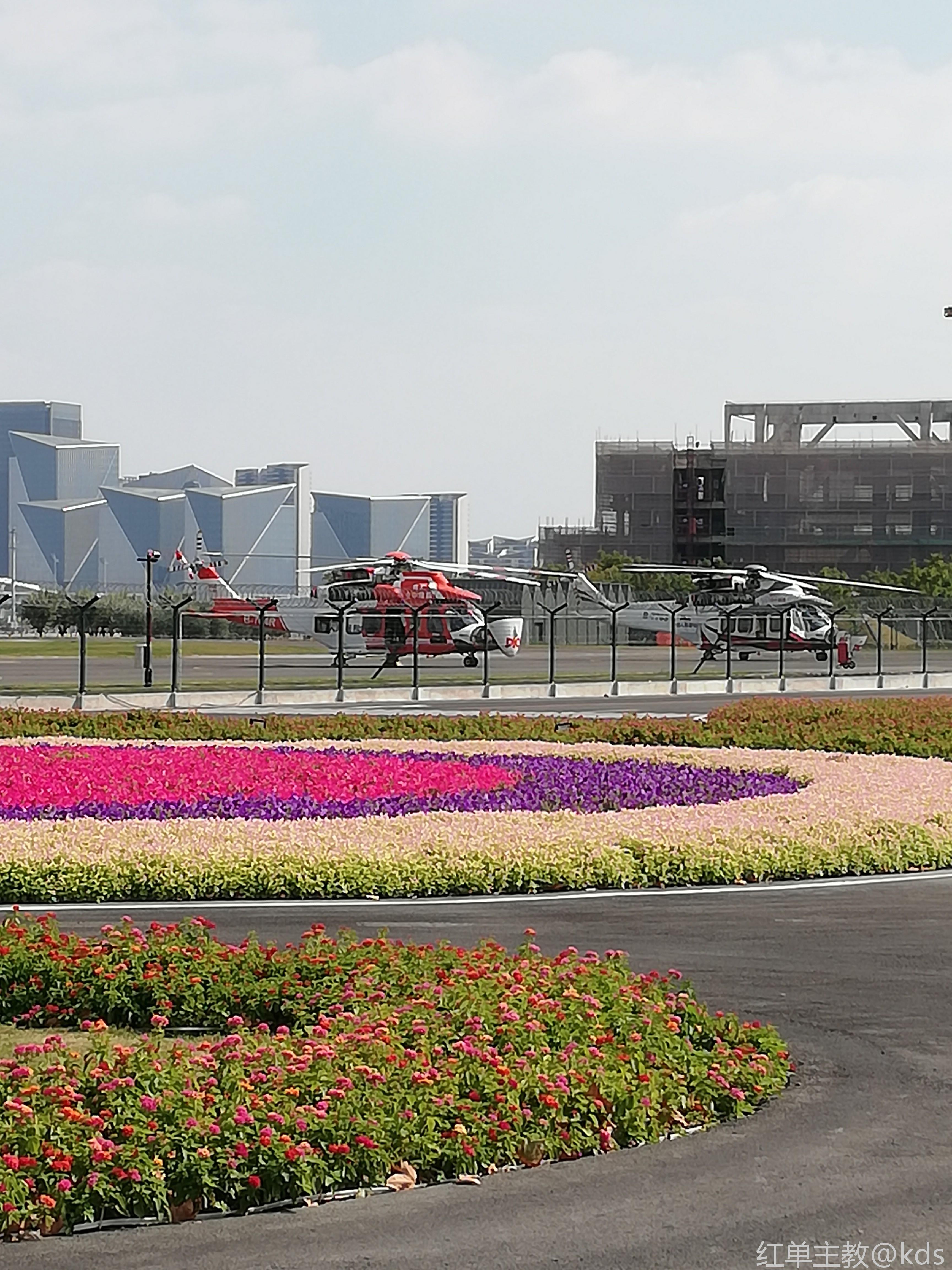 上海龙华机场公园图片