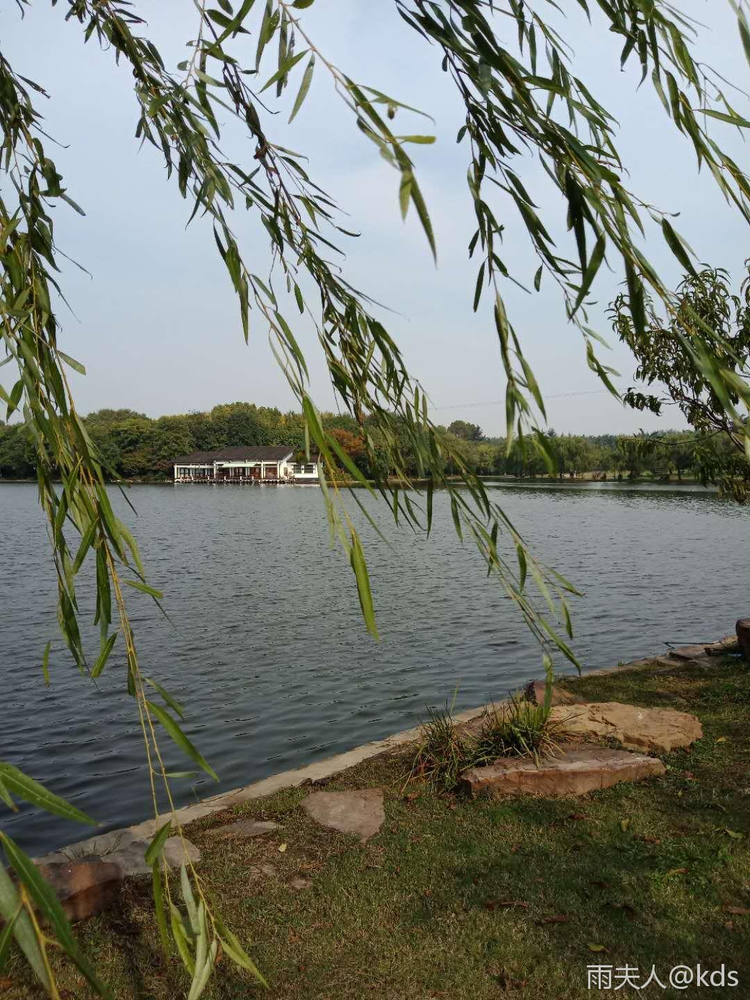 周末发些自拍的公园风景图,放松下身心,嘻嘻