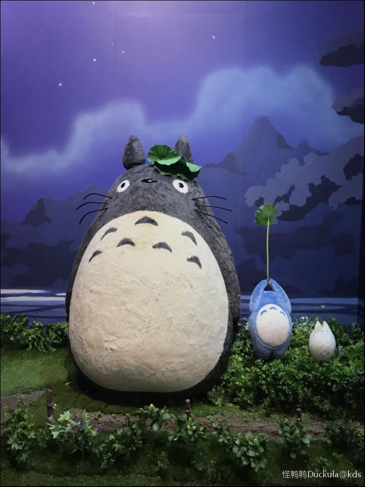 有喜欢看龙猫电影的tf吗?