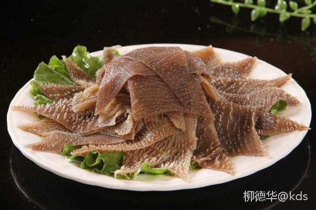 这毛肚是海里的吗,海里有这东西?