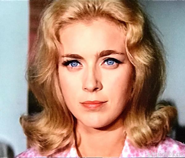 虎口脱险,老墙……最近怎么电影频道播放