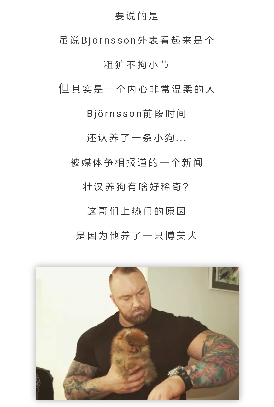 Bjornsson魔山图片