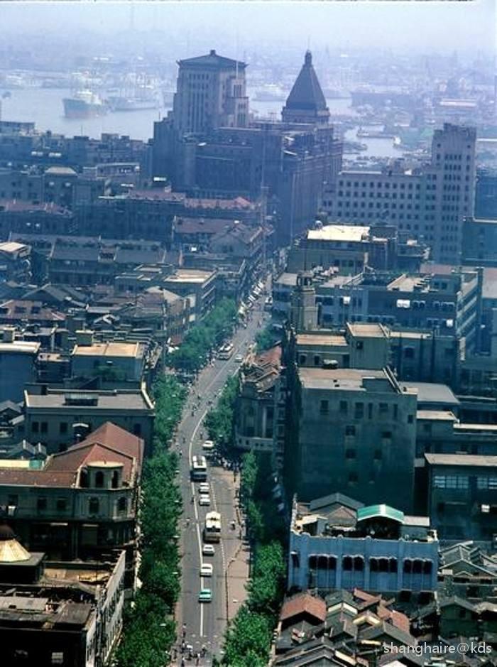 应该是夏天拍的,1988年的上海,那时候我小学