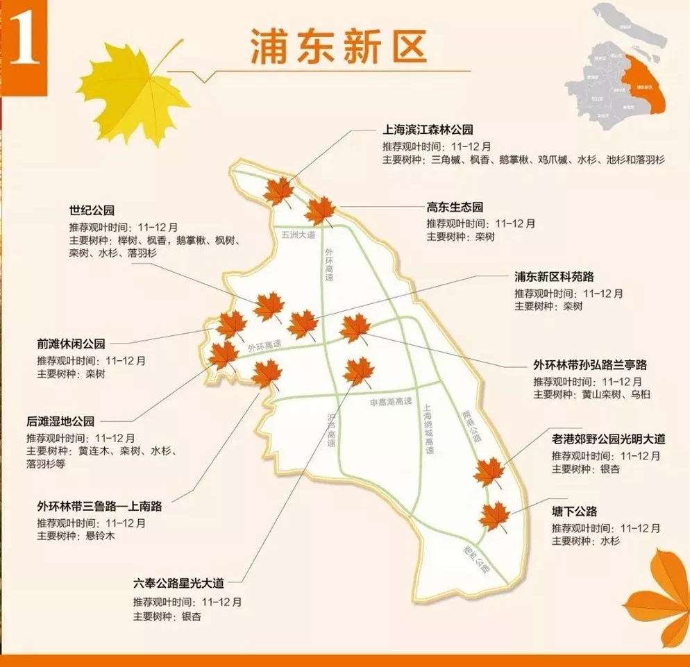 浦东24镇地图图片