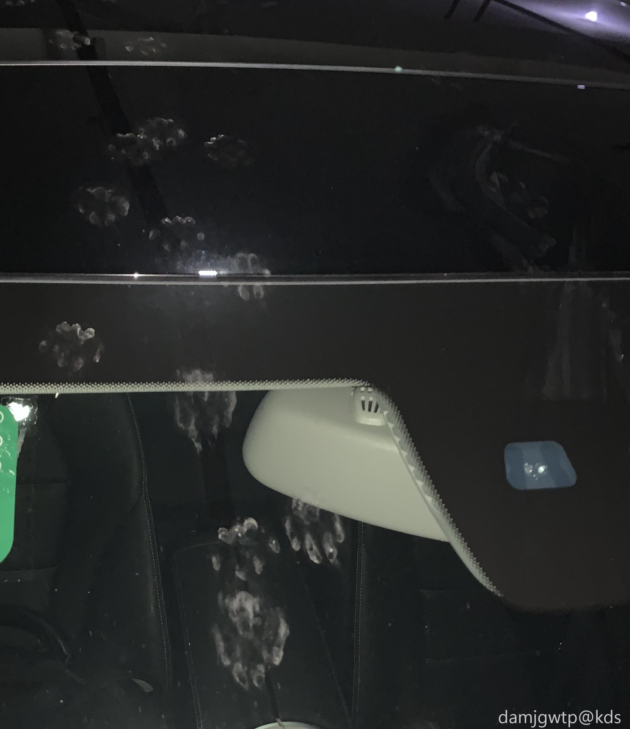 每天车上都是猫爪印,有什么好办法应对?