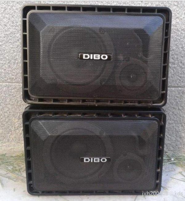 大学时买过迪波999