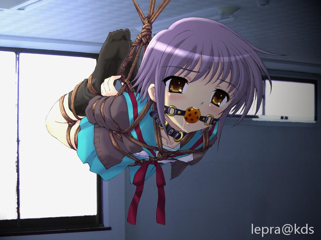 两只老虎打架什么水平?