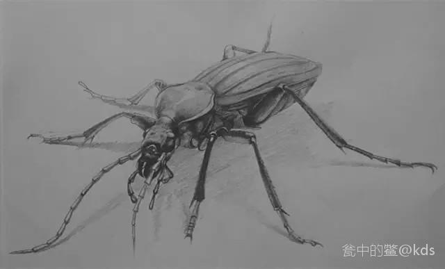 唐伯虎的人物画是否一塌糊涂