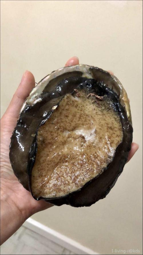 今晚,我堂妹在把在海边捉回来的27只澳洲黑边野生鲍鱼,开膛破腹准备