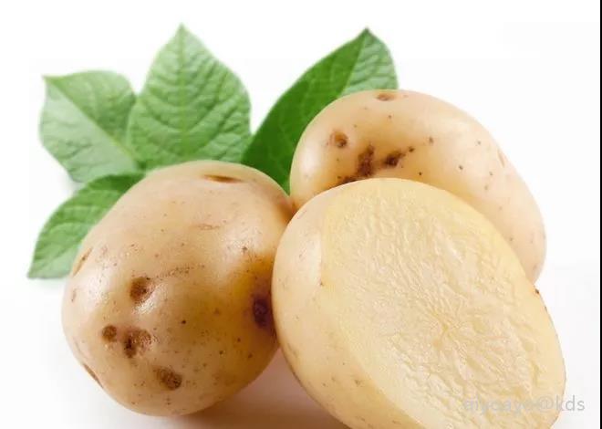 土豆 卡路里: 77kcal/100g