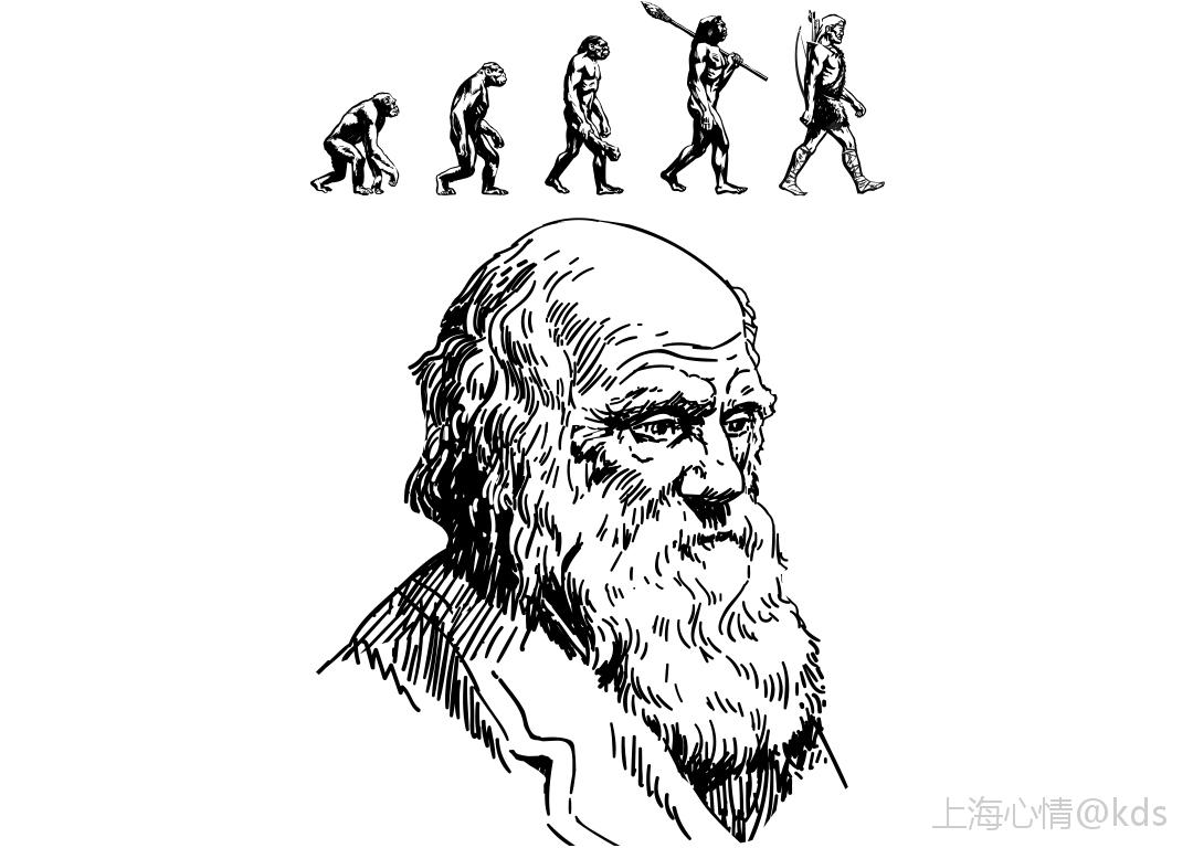 kds 宽带山 1859年11月24号,《物种起源》的第一版上市,售价0.