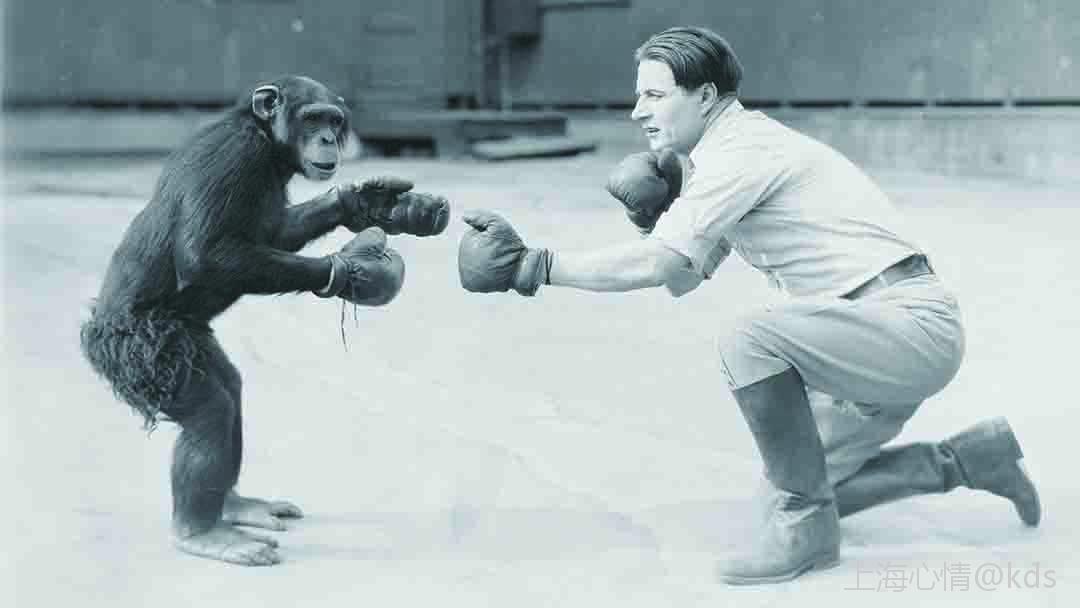 再比如说,肌肉发达,从那些最浅显易见的角度来看,肯定就是强者更加