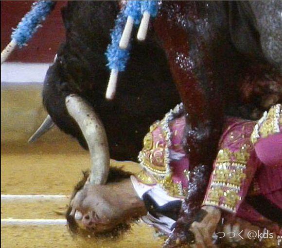 地球如果是一坨屎,人类连屎壳郎都不如,还想推