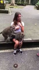 钱江晚报:广州恒大,请放中国足球一马