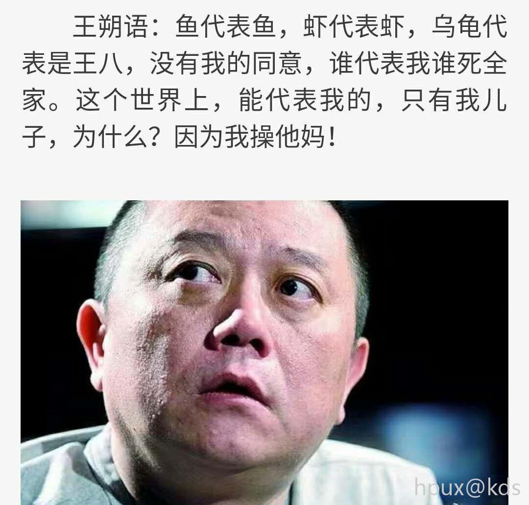 不需要任何人代表我.