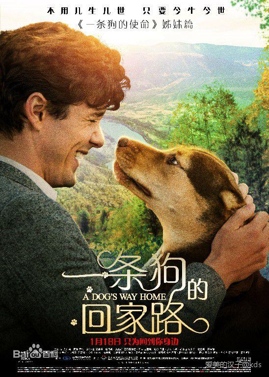 kds 宽带山 爱狗的可以看看,讨厌狗的就免了吧!