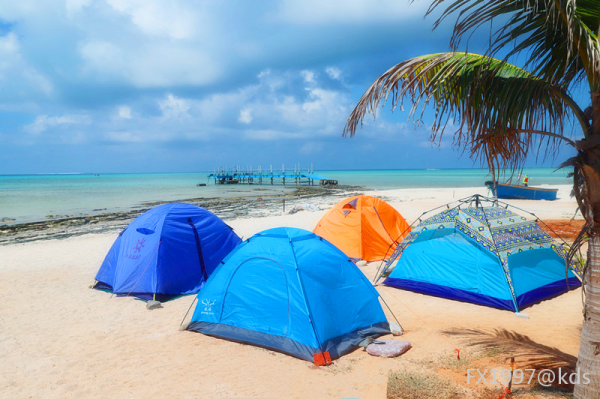 将帐篷扎在海边沙滩上."面朝大海,春暖花开".
